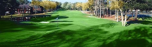 Diamondhead Golf Club - Pine